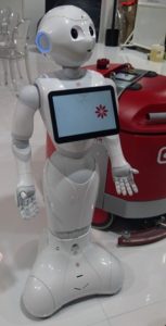 Pepper